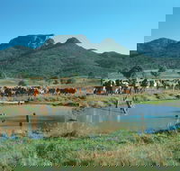 Biggenden - Darwin Tourism