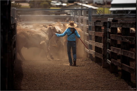 Bundaberg- Biggenden- Mount Perry Circle - Darwin Tourism 1