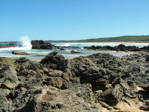 Coastal Walks - Bermagui - Darwin Tourism 0