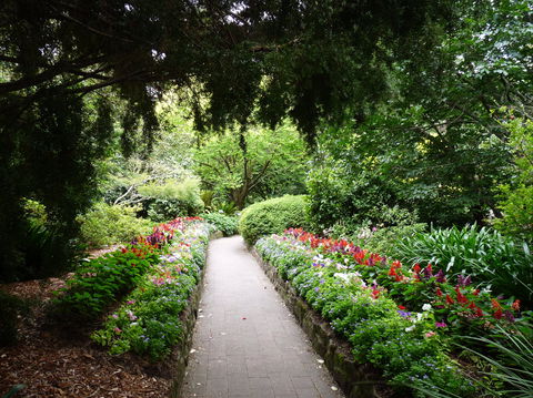EG Waterhouse National Camellia Gardens - Darwin Tourism 1