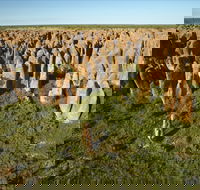 Gulf Region - Darwin Tourism