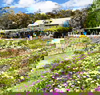 Kate's Berry Farm - Darwin Tourism