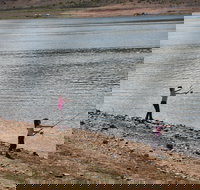 Lake Wyangala - Darwin Tourism