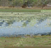 Leaning Tree Lagoon Nature Park - Darwin Tourism