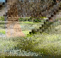 Leaghur State Park - Darwin Tourism