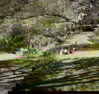 Leura Cascades picnic area - Darwin Tourism