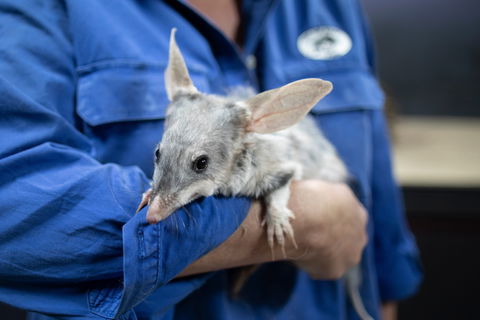 Matilda Way - Darwin Tourism 2