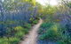 Minerva Hills National Park - thumb 2