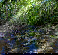 Nambucca Valley - Darwin Tourism