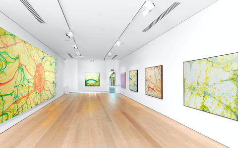 Olsen Gallery - Darwin Tourism 0