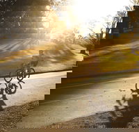 Parramatta River Cycleway - Darwin Tourism