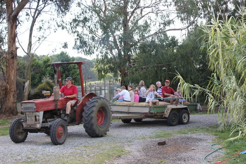 Rain Hayne And Shine Farmyard - Darwin Tourism 1