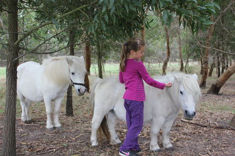 Rain Hayne And Shine Farmyard - Darwin Tourism 2