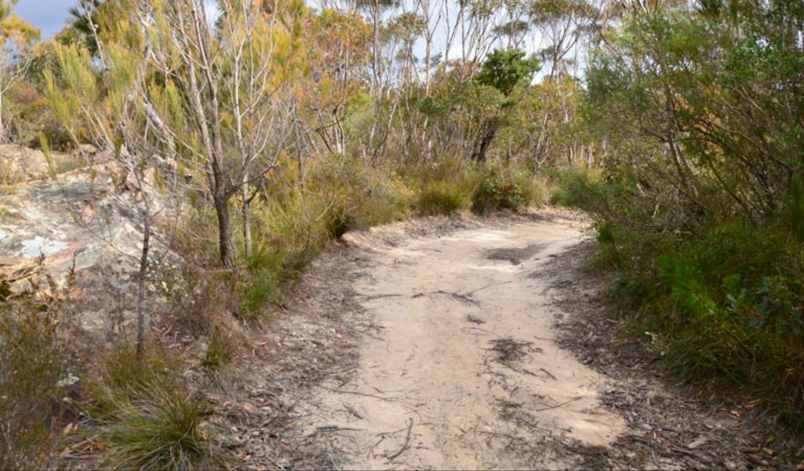 Browns Mountain NSW Darwin Tourism