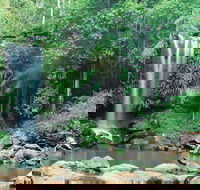 Tamborine National Park