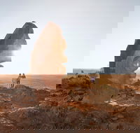 The Living Desert and Sculptures