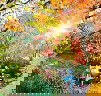 The Blue Mountains Botanic Garden Mount Tomah - Darwin Tourism