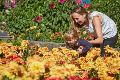 The Blue Mountains Botanic Garden, Mount Tomah - Darwin Tourism 1