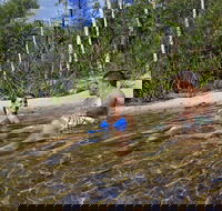 Tjaynera Falls Sandy Creek - Darwin Tourism