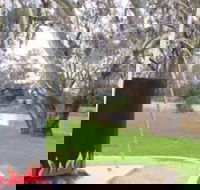 Trangie Big Billy - Darwin Tourism