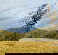 Weddin Mountains National Park - Darwin Tourism