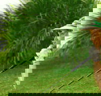 Whitsunday Green Club Golf - Darwin Tourism