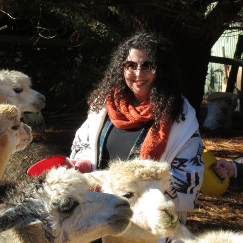 Alpaca Farm Experience At Crookwell - Darwin Tourism 1