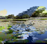 Anderson Park Botanic Gardens - Darwin Tourism