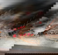 Australian Fly Fishing Museum - Darwin Tourism