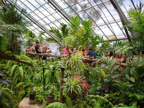 Australian Butterfly Sanctuary - Darwin Tourism 2