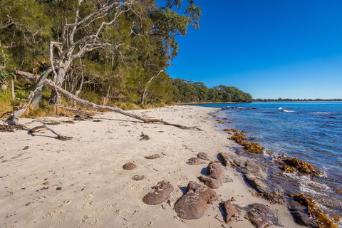 Barfleur Beach - Darwin Tourism 0
