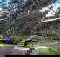 Barrington Tops State Forest - Darwin Tourism