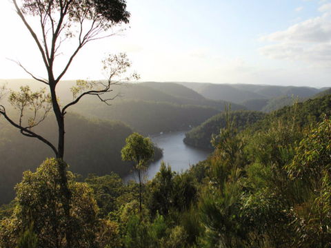 Berowra Valley National Park - Darwin Tourism 0