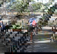 Bidgee Riverside Trail  - Hay Nature Walk - Darwin Tourism