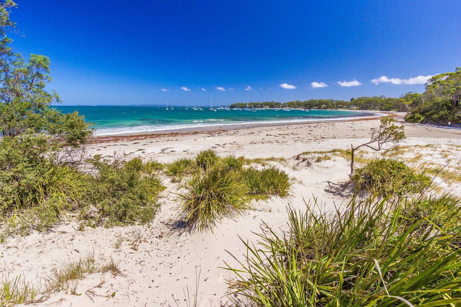 Callala Bay NSW Darwin Tourism