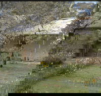 Castlemaine Diggings National Heritage Park - Darwin Tourism