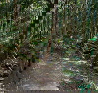 Cascades Walk - Darwin Tourism