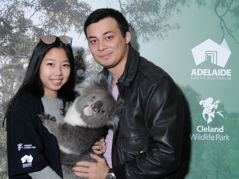 Cleland Wildlife Park - Koala Hold - Darwin Tourism 0