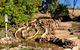 Cloncurry Mary Kathleen Memorial Park Complex - thumb 2