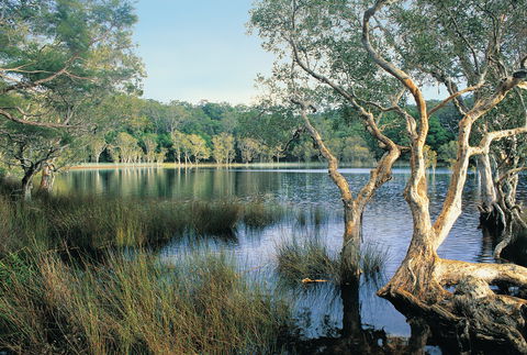Cooloola, Great Sandy National Park - Darwin Tourism 1