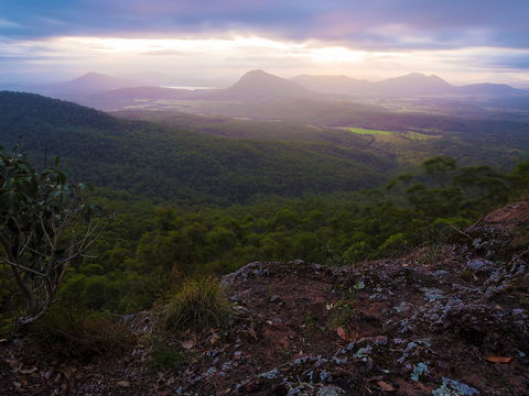 Cunninghams Gap And Spicers Gap, Main Range National Park - Darwin Tourism 0
