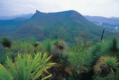 Cunninghams Gap And Spicers Gap, Main Range National Park - Darwin Tourism 1