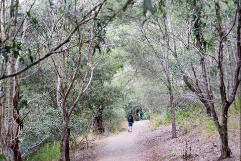 D'Aguilar National Park - Darwin Tourism 2