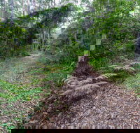 Double Wharf Trail - Darwin Tourism
