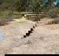 Finchley Cultural Walk - Darwin Tourism