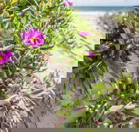 Fort Bribie - Darwin Tourism