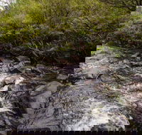 Gloucester River walking track - Darwin Tourism