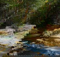 Jumrum Creek Walk Jumrum Creek Conservation Park - Darwin Tourism