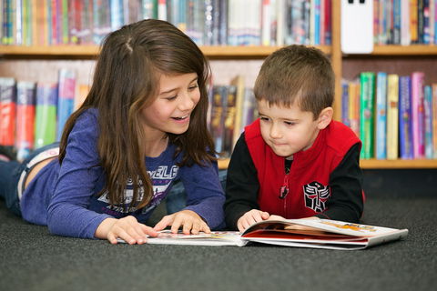 Maitland City Library - Darwin Tourism 0