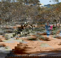 Mallee Stop walking track - Darwin Tourism
